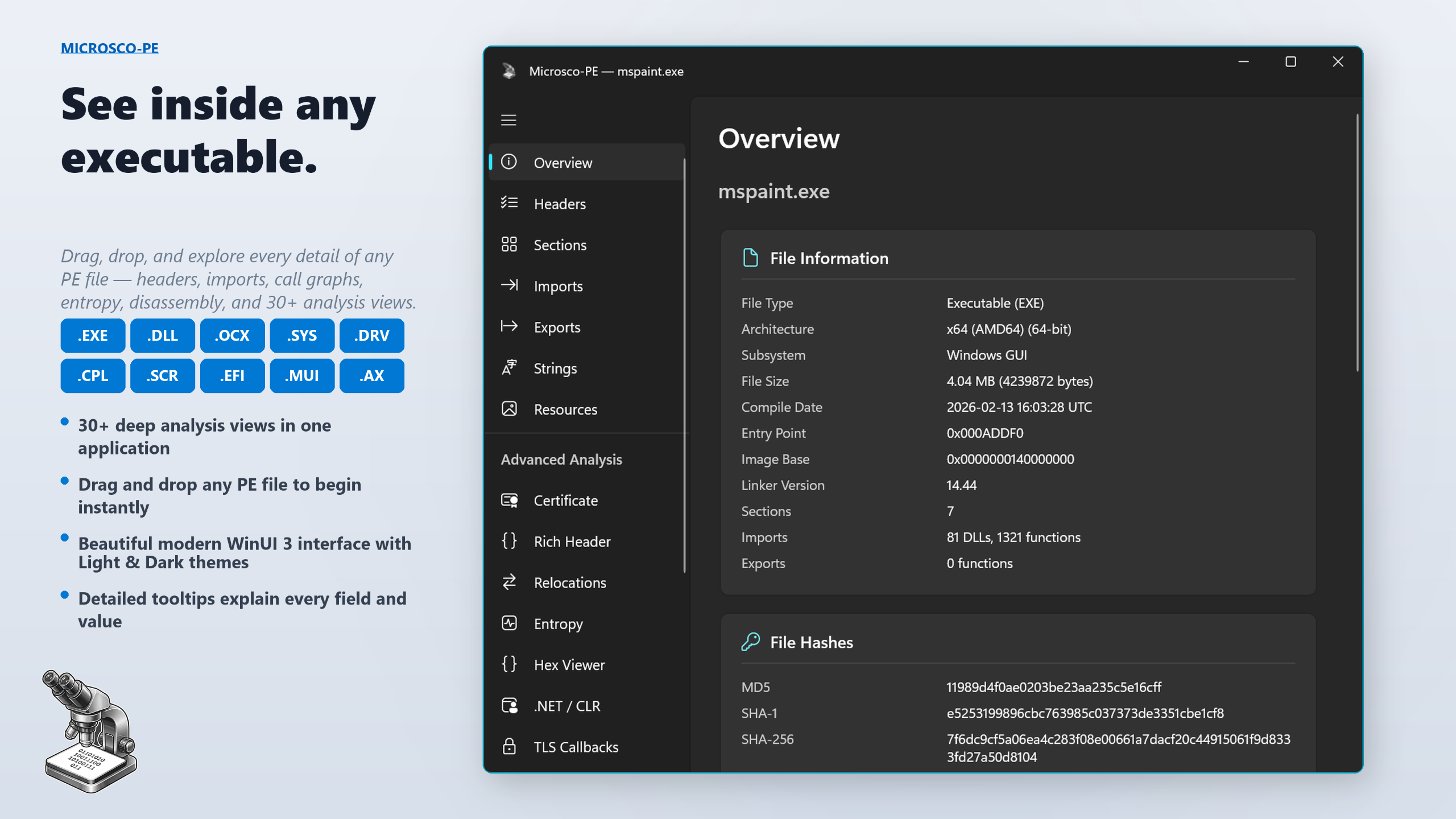 Microsco-PE &mdash; Overview dashboard showing file info, hashes, and security features