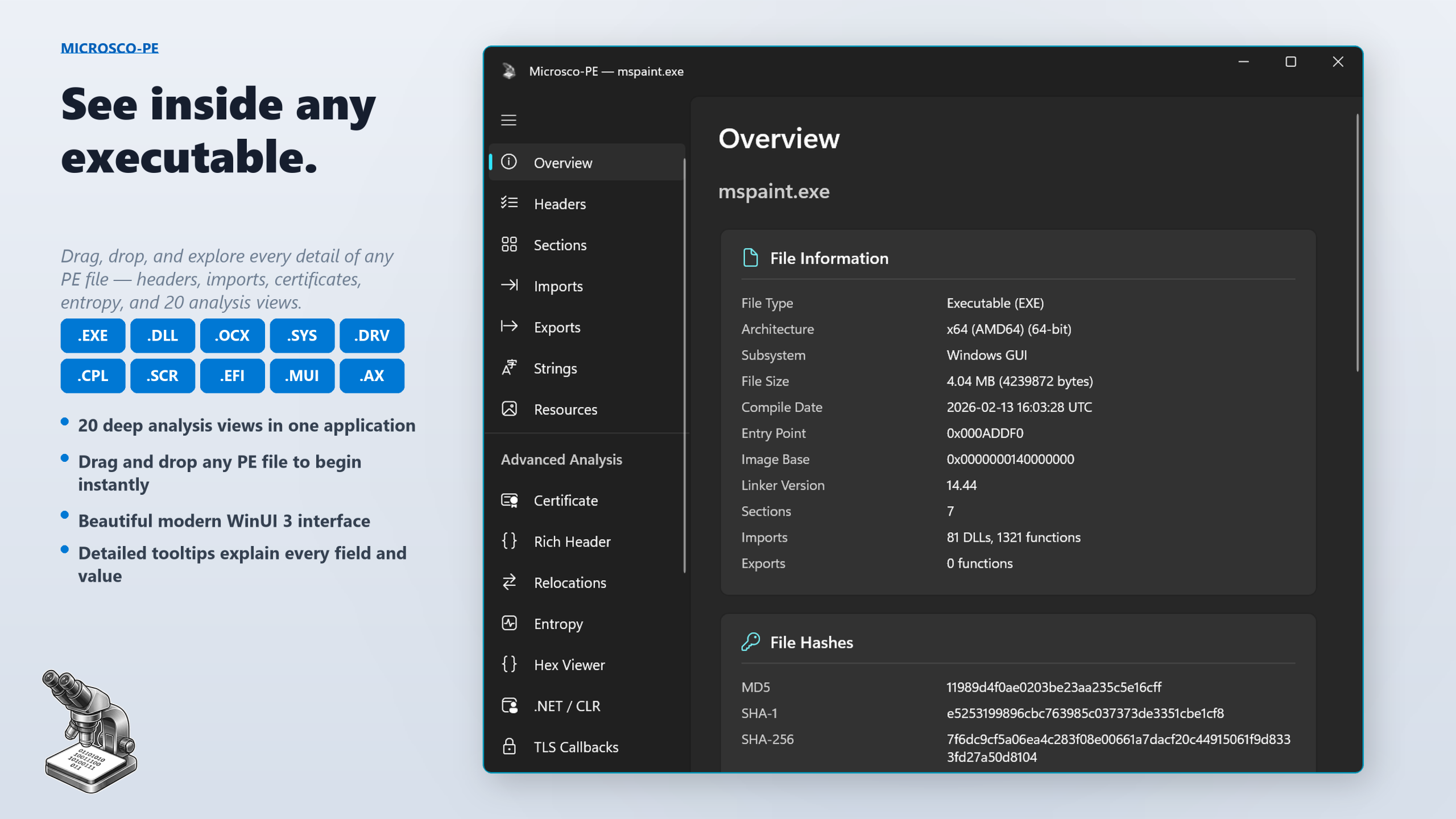 Microsco-PE &mdash; Overview dashboard showing file info, hashes, and security features