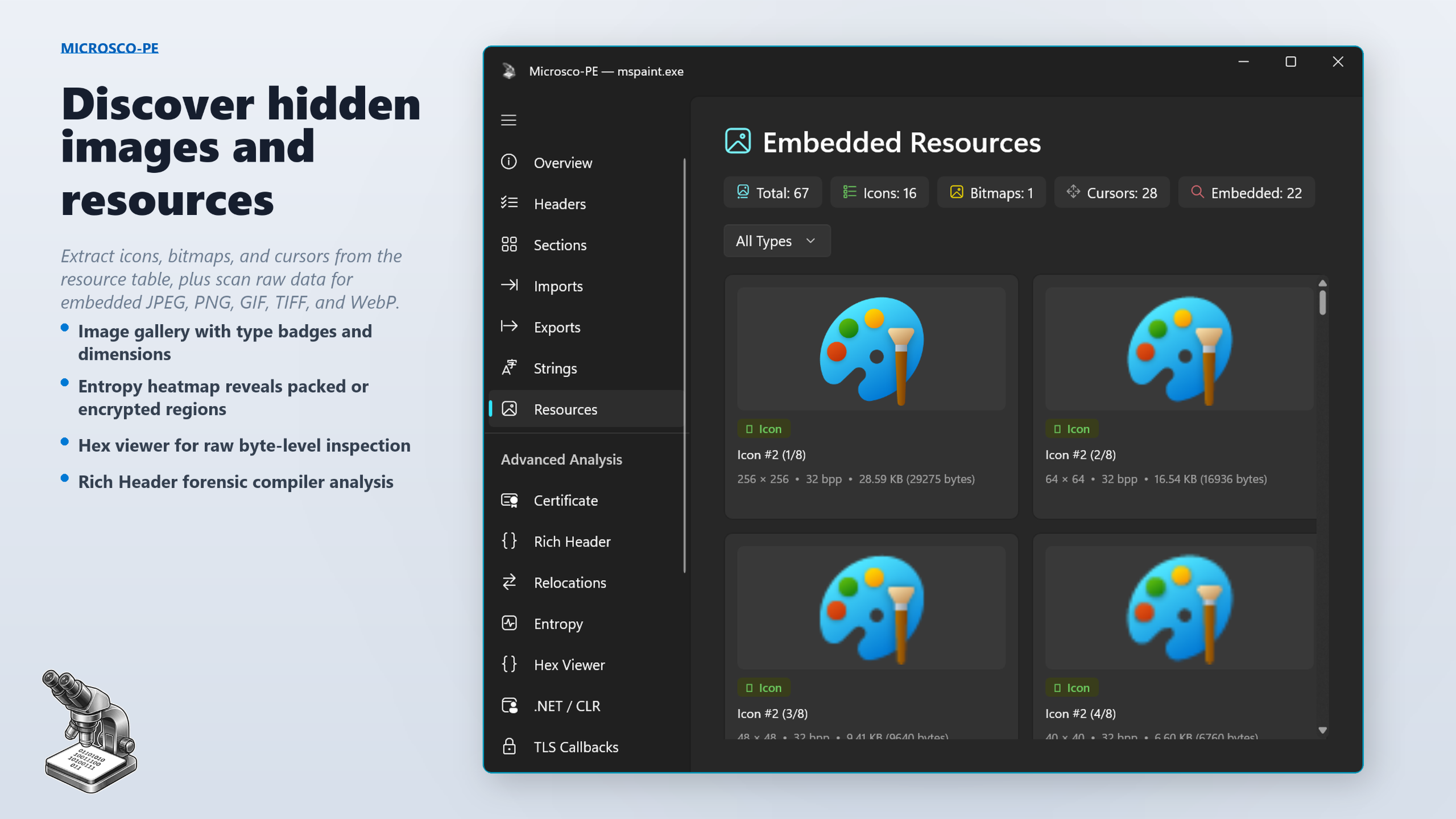 Embedded image gallery and resources